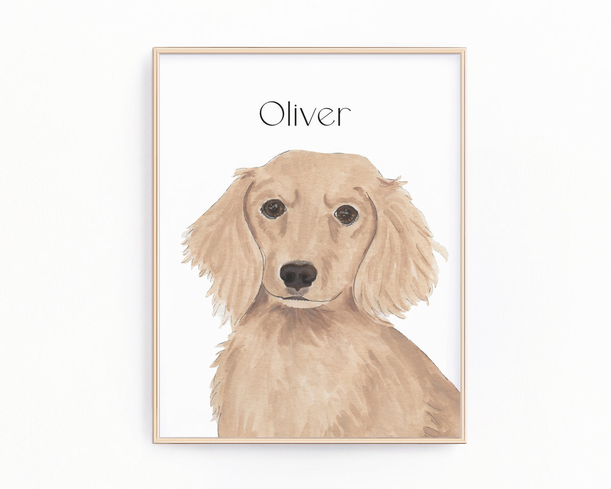 Personalized Dachshund (Red, Long Haired) Fine Art Prints