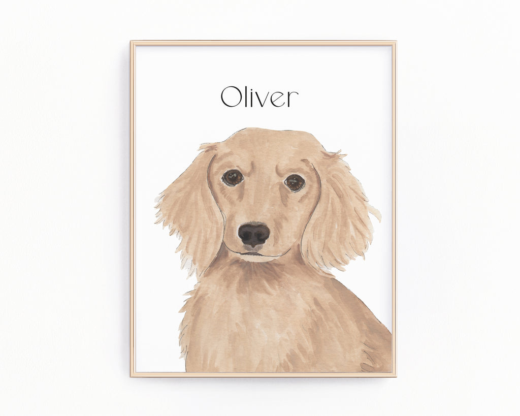 Personalized Dachshund (Red, Long Haired) Fine Art Prints