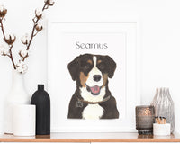 Personalized Entlebucher Mountain Dog Fine Art Prints