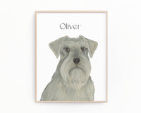 Personalized Schnauzer (Grey) Fine Art Prints