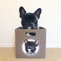 Custom Storage Bin