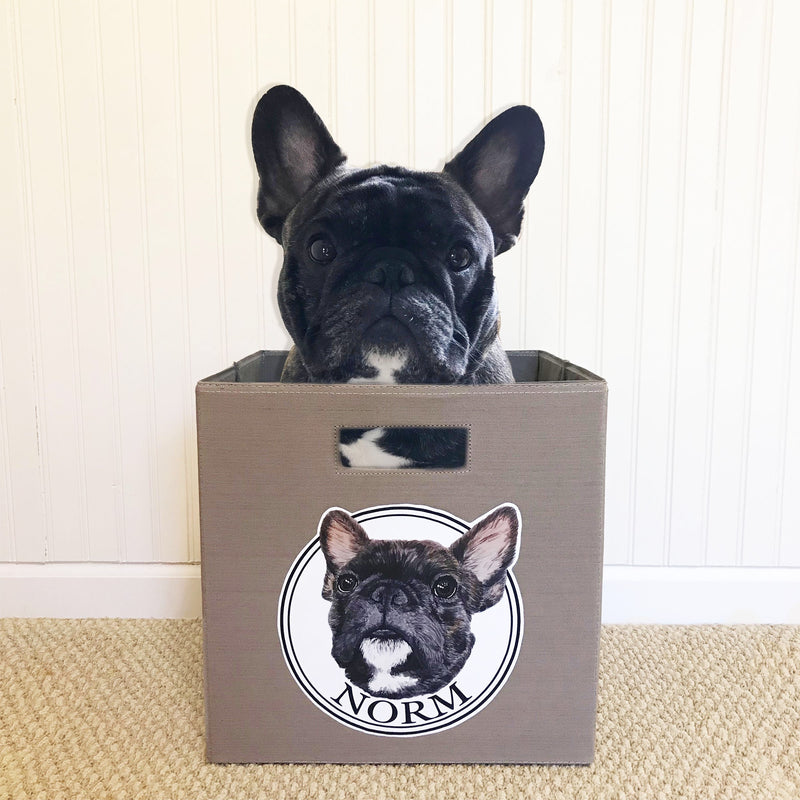 Custom Storage Bin