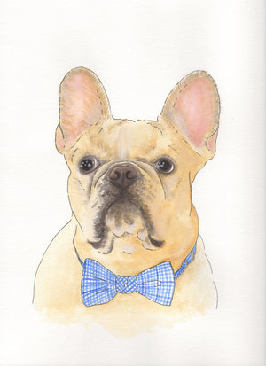 Chicago French Bulldog Rescue Fundraising Artwork
