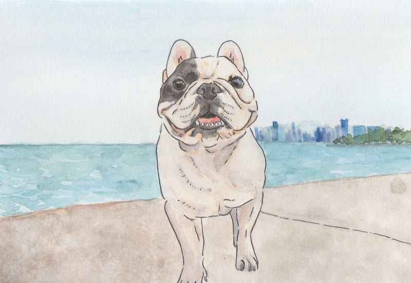 Chicago French Bulldog Rescue Fundraising Artwork