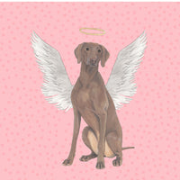 Sympathy Cards
