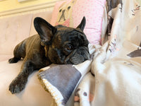 Personalized Chihuahua Sherpa Throw Blanket