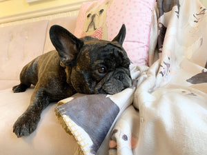 Personalized French Bulldog (Fawn / Cream) Sherpa Throw Blanket