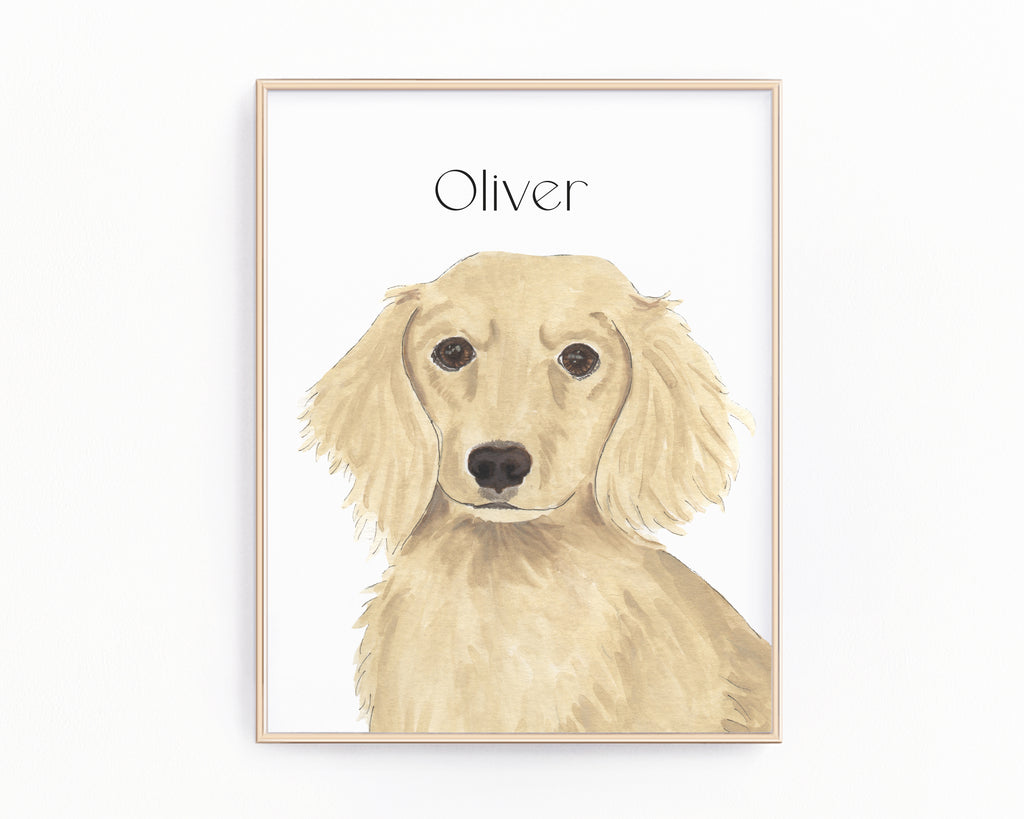 Personalized Dachshund (Cream, Long Haired) Fine Art Prints