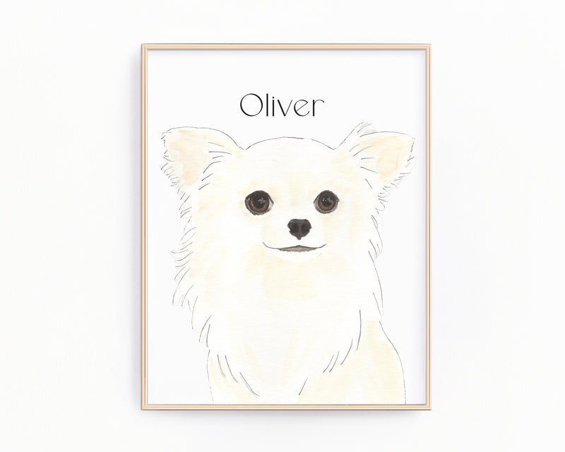 Personalized Chihuahua (Long Haired, White) Fine Art Prints