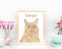 Personalized Maine Coon (Orange) Fine Art Prints