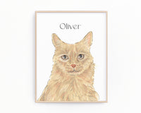 Personalized Maine Coon (Orange) Fine Art Prints