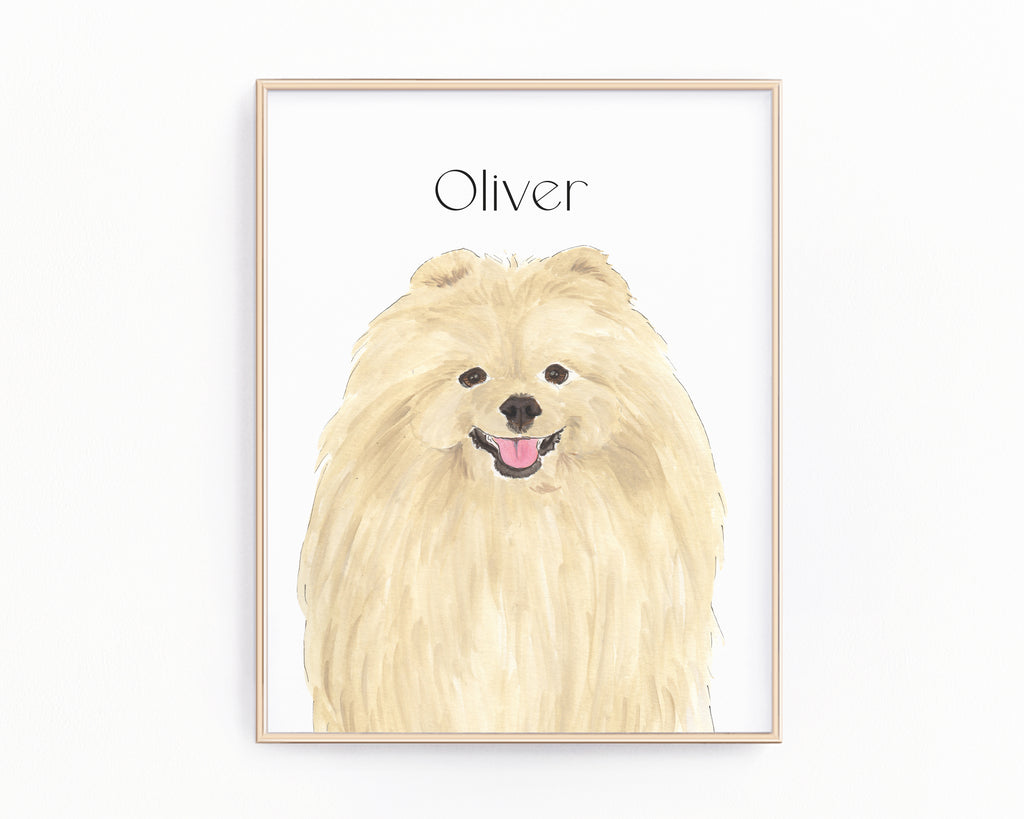 Personalized Pomeranian Fine Art Prints
