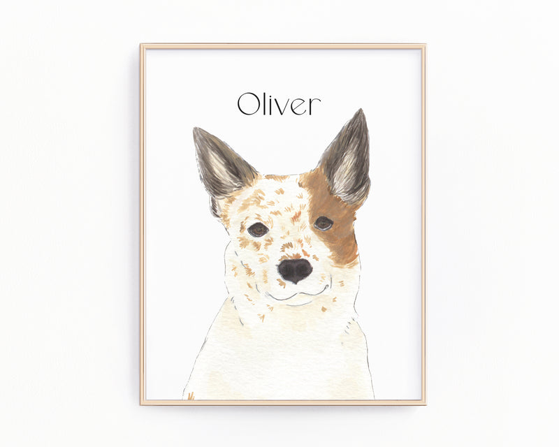 Personalized Australian Cattle Dog/Heeler (Red) Fine Art Prints