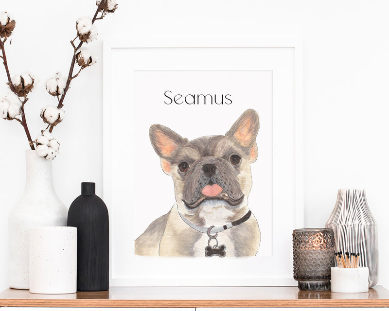 Personalized Frenchie (Blue Fawn Tricolor) Fine Art Prints