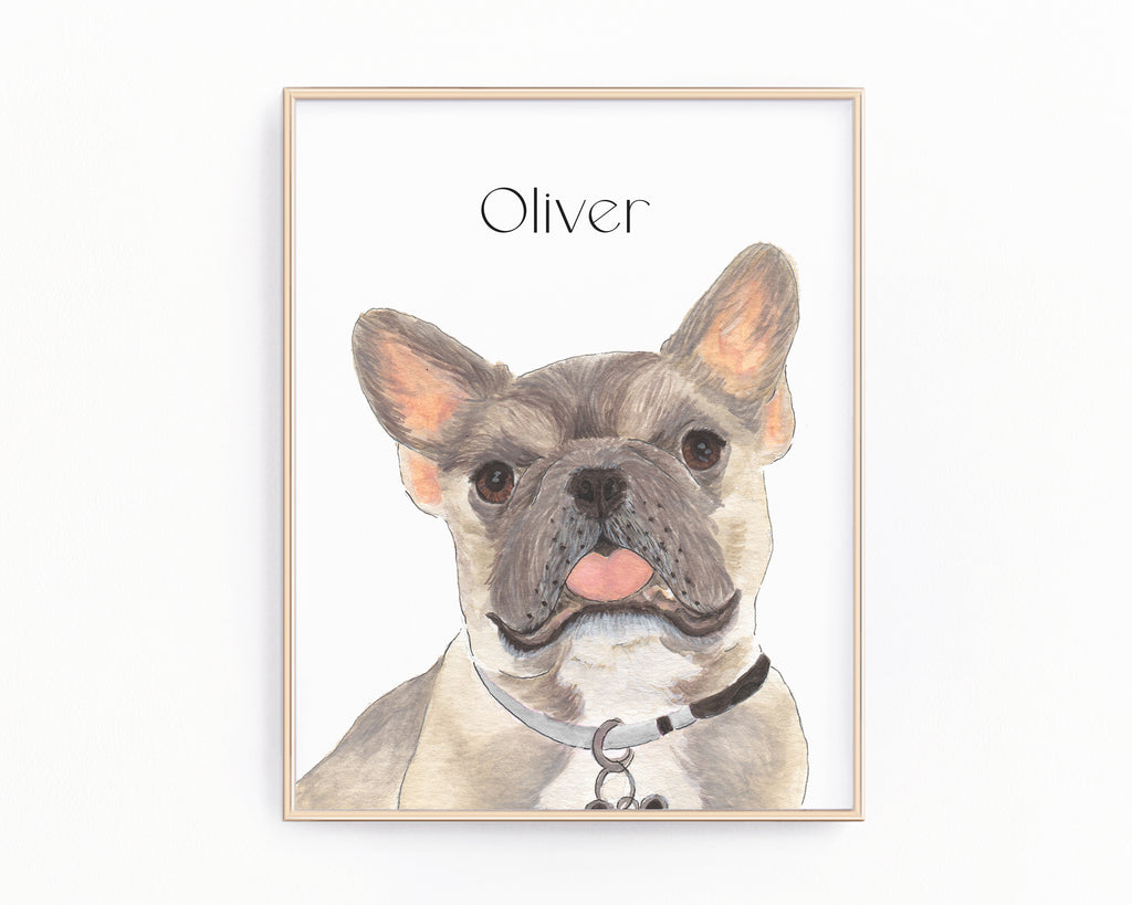 Personalized Frenchie (Blue Fawn Tricolor) Fine Art Prints