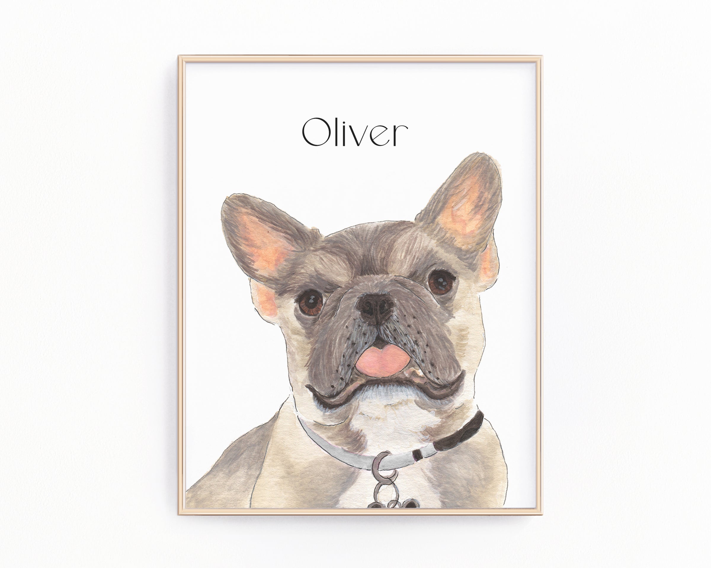 Fine frenchie online