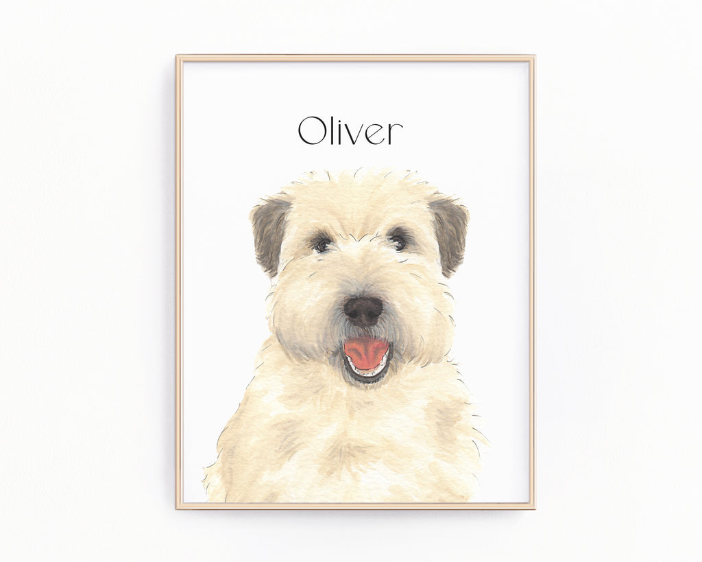 Personalized Wheaten Terrier (Winter Fluff) Fine Art Prints
