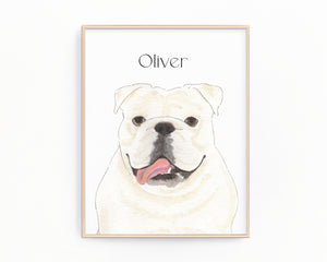 Personalized English Bulldog (White) Fine Art Prints