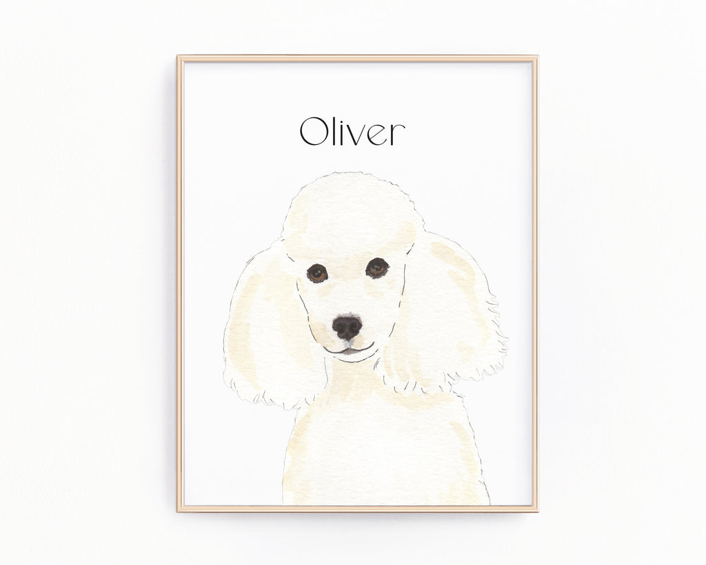 Personalized Poodle (White) Fine Art Prints