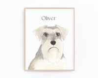 Personalized Schnauzer (Grey and White) Fine Art Prints