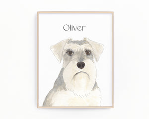 Personalized Schnauzer (Grey and White) Fine Art Prints